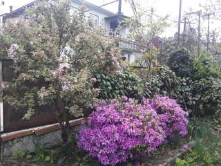 Гостевой дом nina Батуми Улучшенный трехместный номер-1